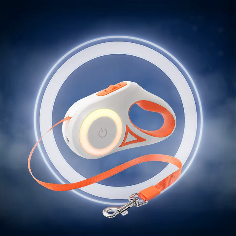 🐶 Correa para Mascotas con Luz LED